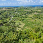 First image of Paradise in Paradise, Hanover, Jamaica - property is For Sale