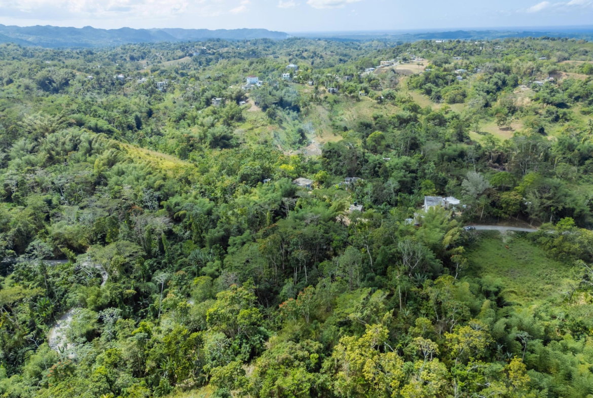 Third image of Paradise in Paradise, Hanover, Jamaica - property is For Sale