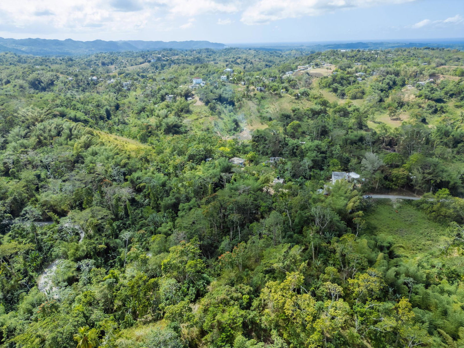 Third image of Paradise in Paradise, Hanover, Jamaica - property is For Sale