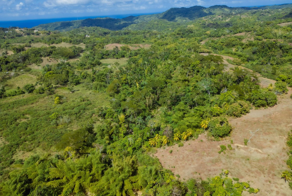 Fourth image of Paradise in Paradise, Hanover, Jamaica - property is For Sale