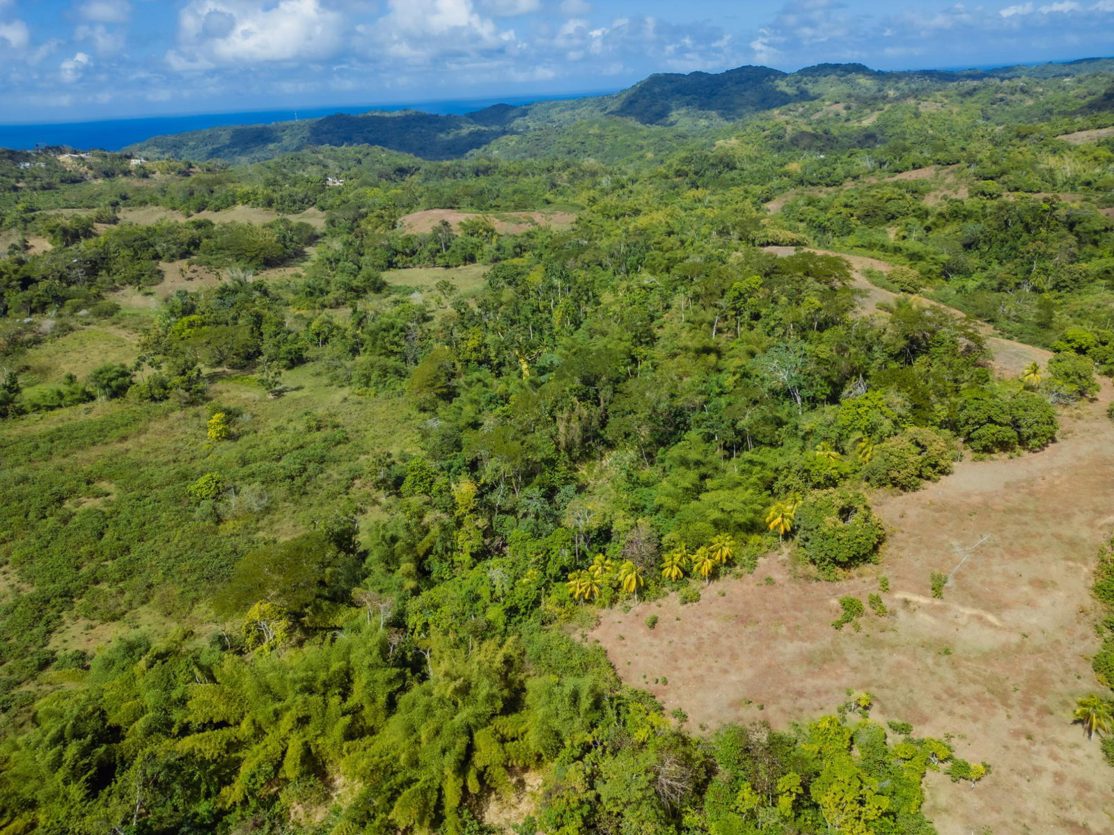 Fourth image of Paradise in Paradise, Hanover, Jamaica - property is For Sale