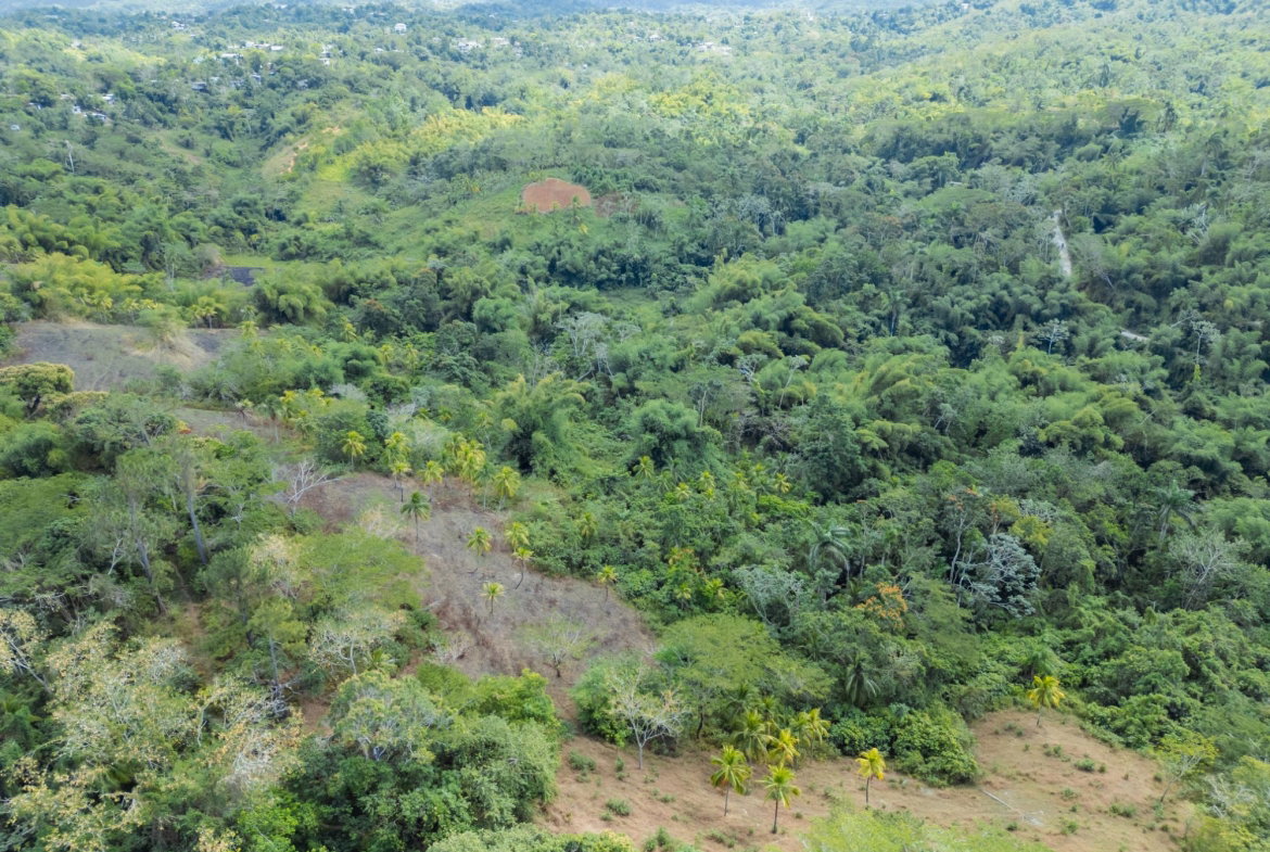 Fifth image of Paradise in Paradise, Hanover, Jamaica - property is For Sale