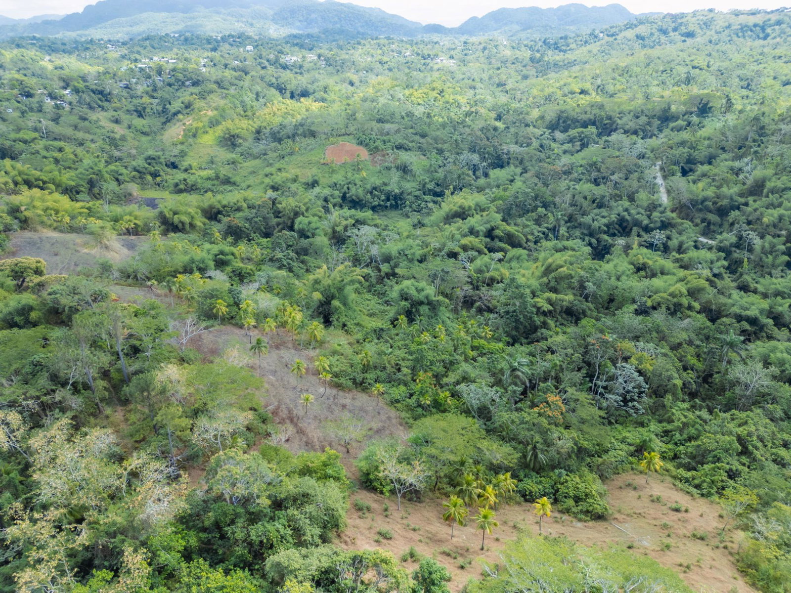 Fifth image of Paradise in Paradise, Hanover, Jamaica - property is For Sale