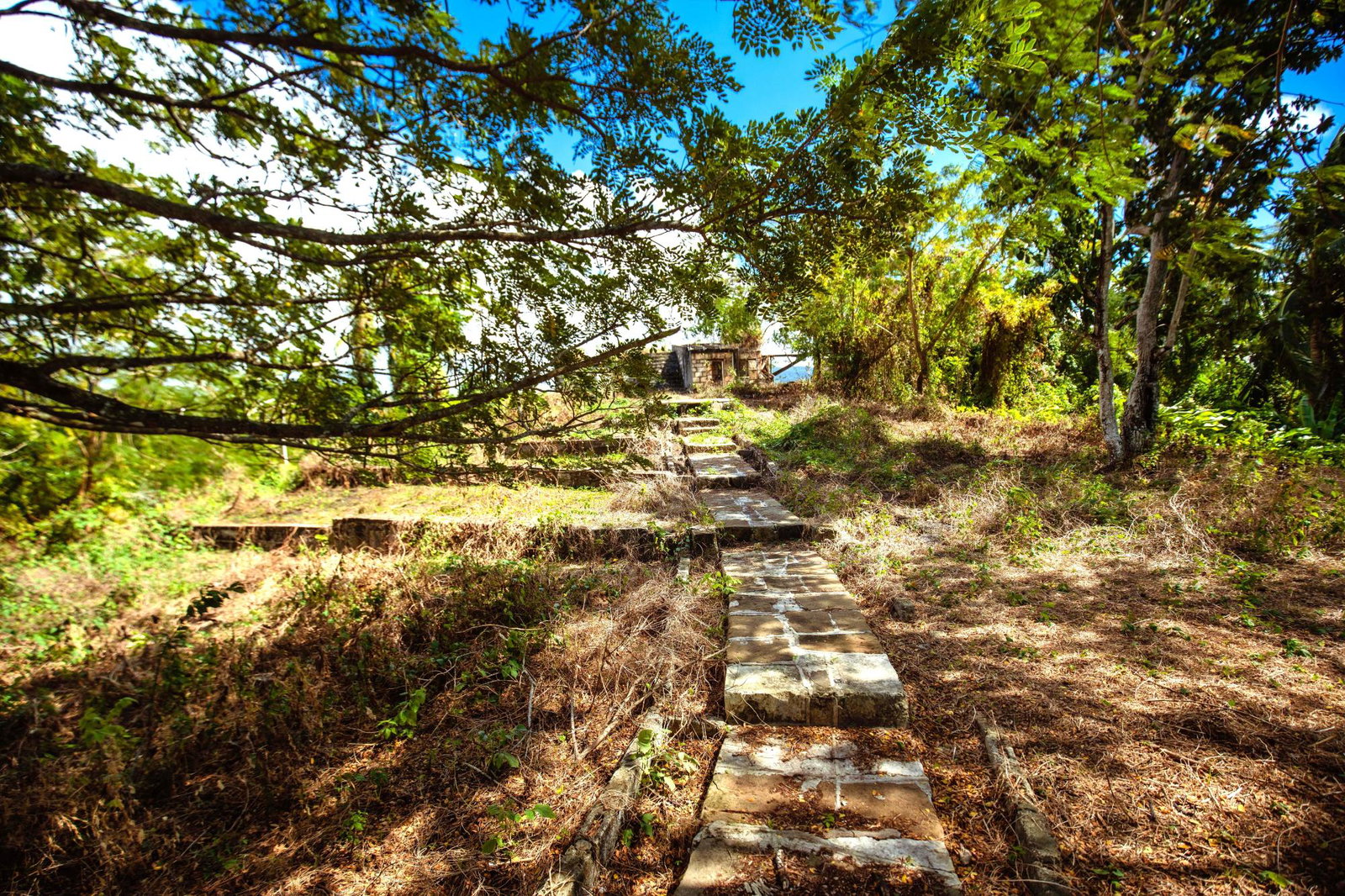 Sixth image of Paradise in Paradise, Hanover, Jamaica - property is For Sale
