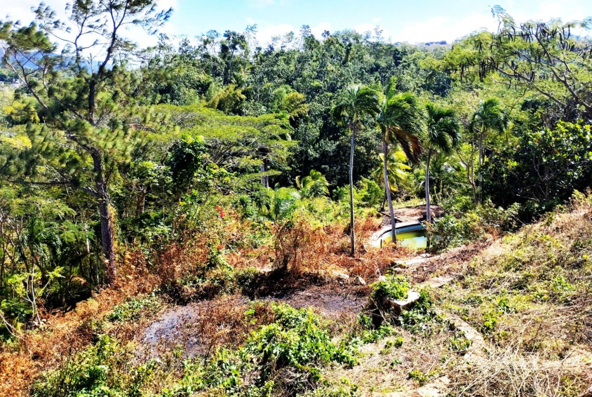 Seventh image of Paradise in Paradise, Hanover, Jamaica - property is For Sale