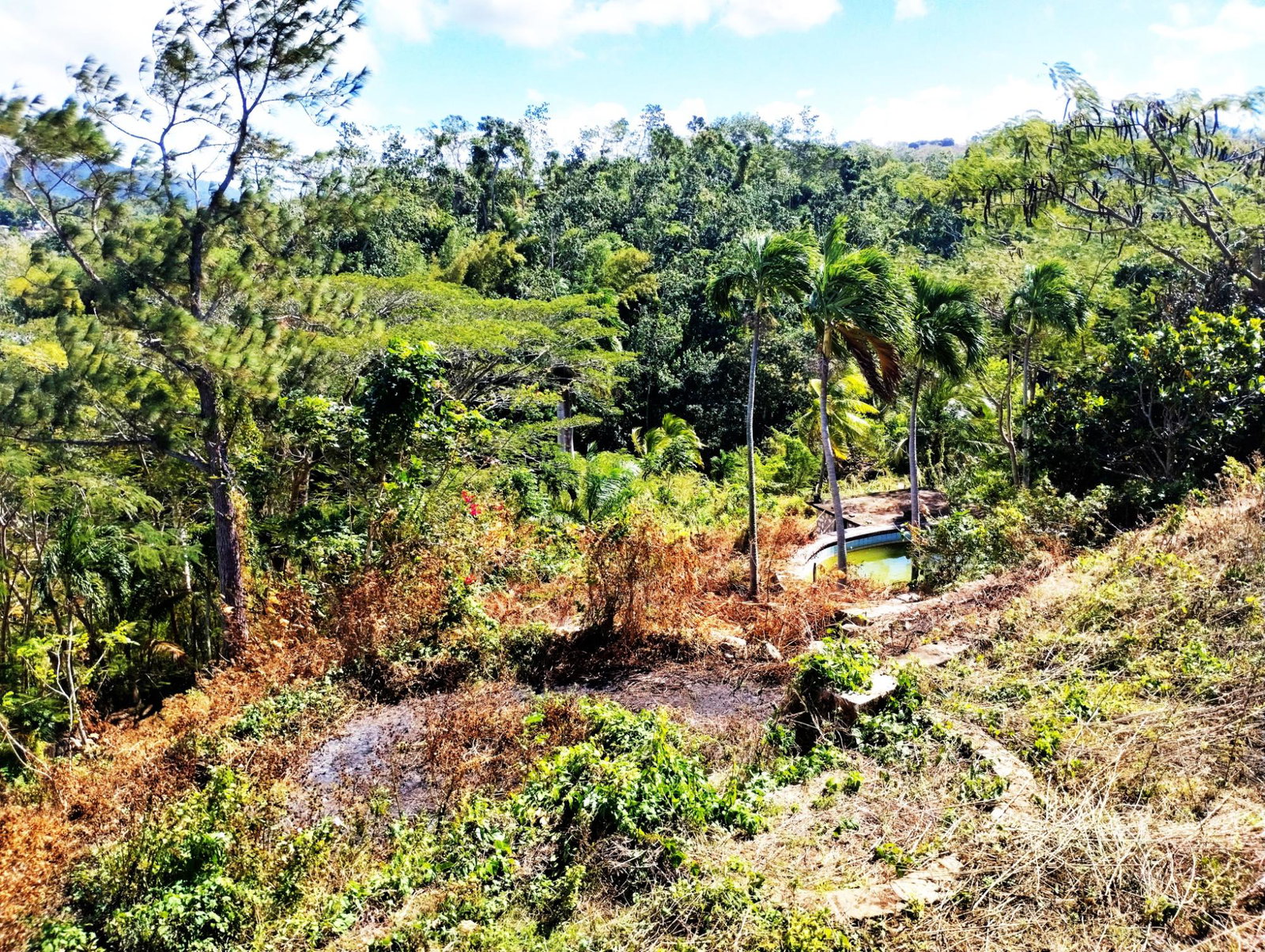 Seventh image of Paradise in Paradise, Hanover, Jamaica - property is For Sale