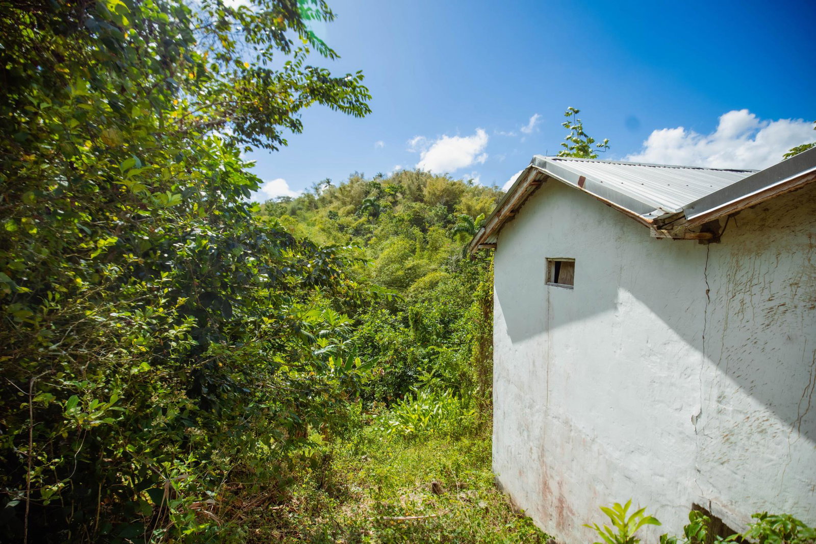 Eighth image of Paradise in Paradise, Hanover, Jamaica - property is For Sale