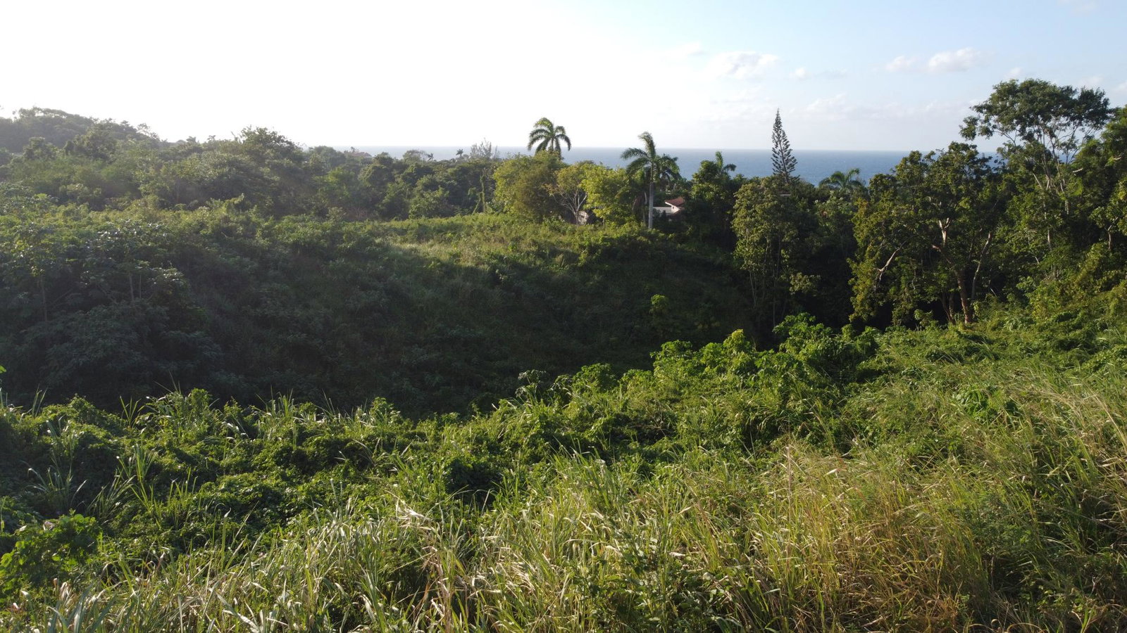 Seventh image of Wiltshire Drive, Coral ga in Montego Bay, St. James, Jamaica - property is For Sale