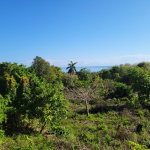 First image of Montrose Crescent in Little River, St. James, Jamaica - property is For Sale