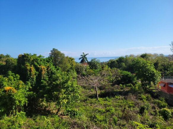 First image of Montrose Crescent in Little River, St. James, Jamaica - property is For Sale