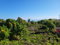 First image of Montrose Crescent in Little River, St. James, Jamaica - property is For Sale