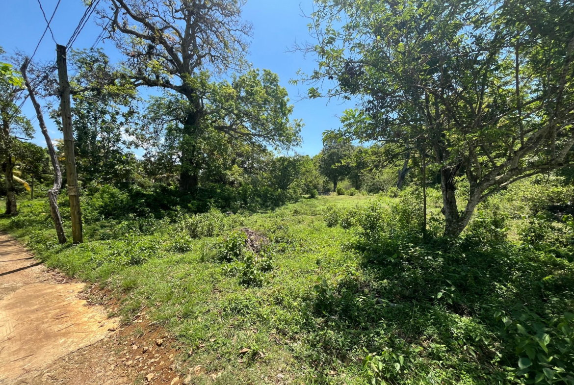 Third image of Leeds in Leeds, St. Elizabeth, Jamaica - property is For Sale