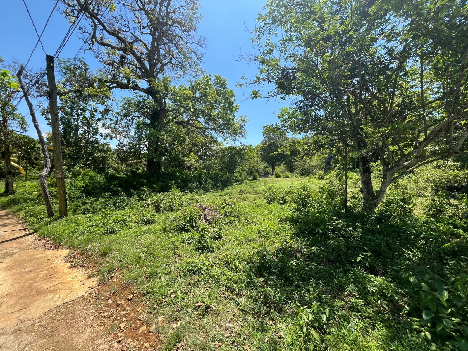 Prime-1.2-Acre-Residential-Development-Land-for-Sale-in-Leeds-St.-Elizabeth-Jamaica Third image of Leeds in Leeds, St. Elizabeth, Jamaica - property is For Sale
