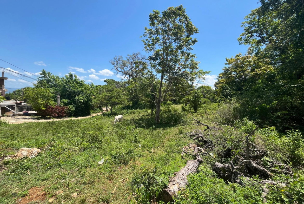Fourth image of Leeds in Leeds, St. Elizabeth, Jamaica - property is For Sale