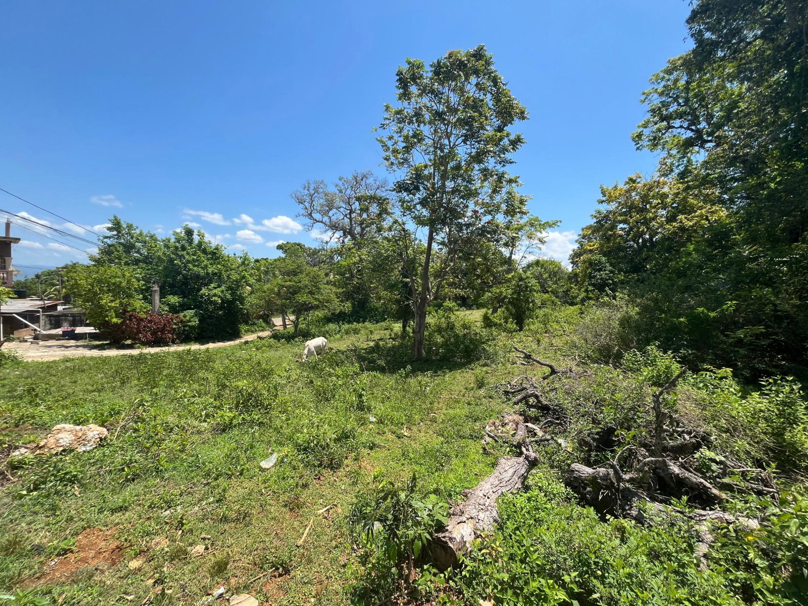 Prime-1.2-Acre-Residential-Development-Land-for-Sale-in-Leeds-St.-Elizabeth-Jamaica Fourth image of Leeds in Leeds, St. Elizabeth, Jamaica - property is For Sale