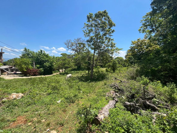Fourth image of Leeds in Leeds, St. Elizabeth, Jamaica - property is For Sale