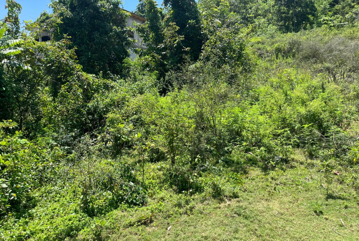 Fifth image of Leeds in Leeds, St. Elizabeth, Jamaica - property is For Sale