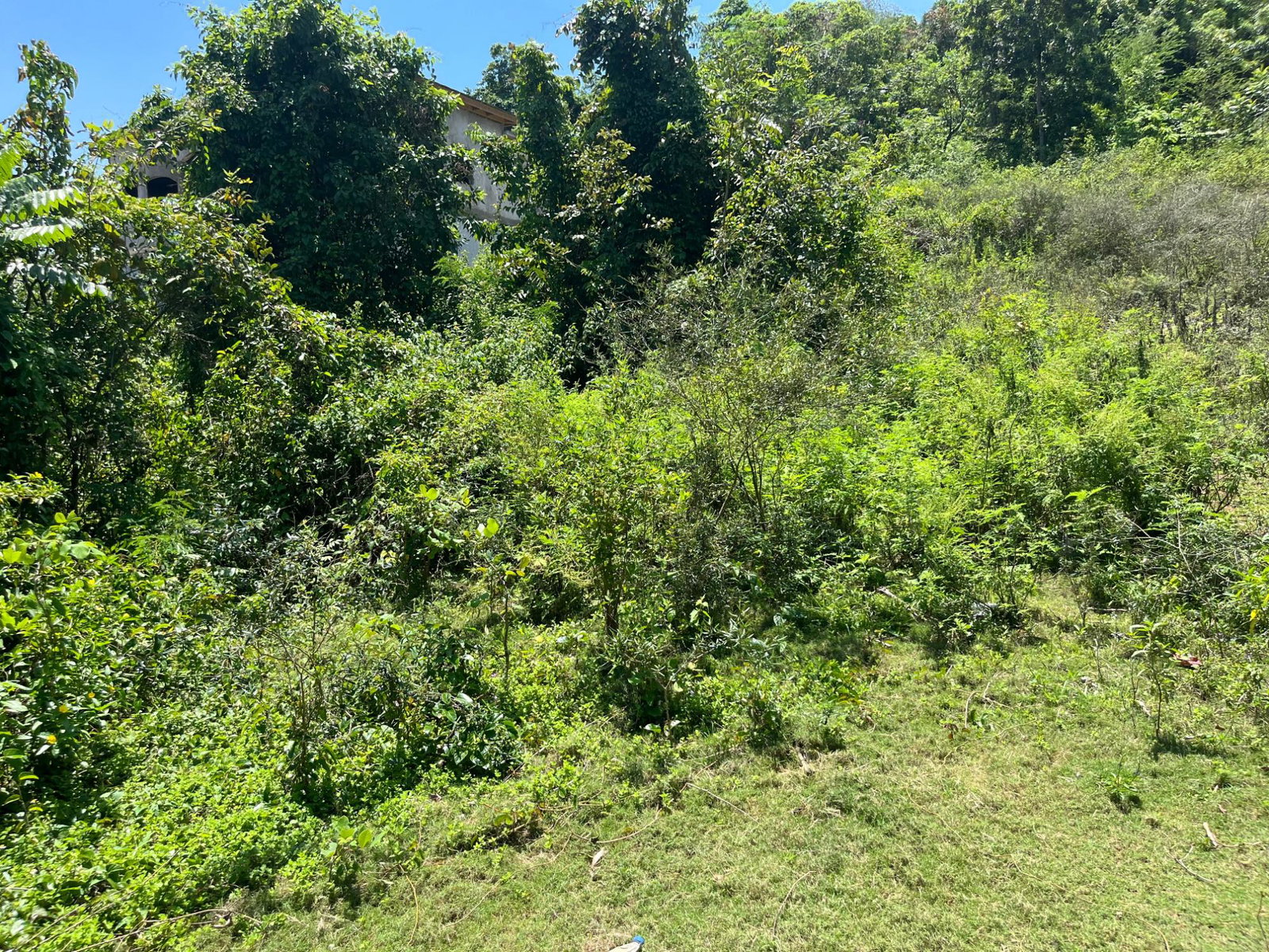 Prime-1.2-Acre-Residential-Development-Land-for-Sale-in-Leeds-St.-Elizabeth-Jamaica Fifth image of Leeds in Leeds, St. Elizabeth, Jamaica - property is For Sale