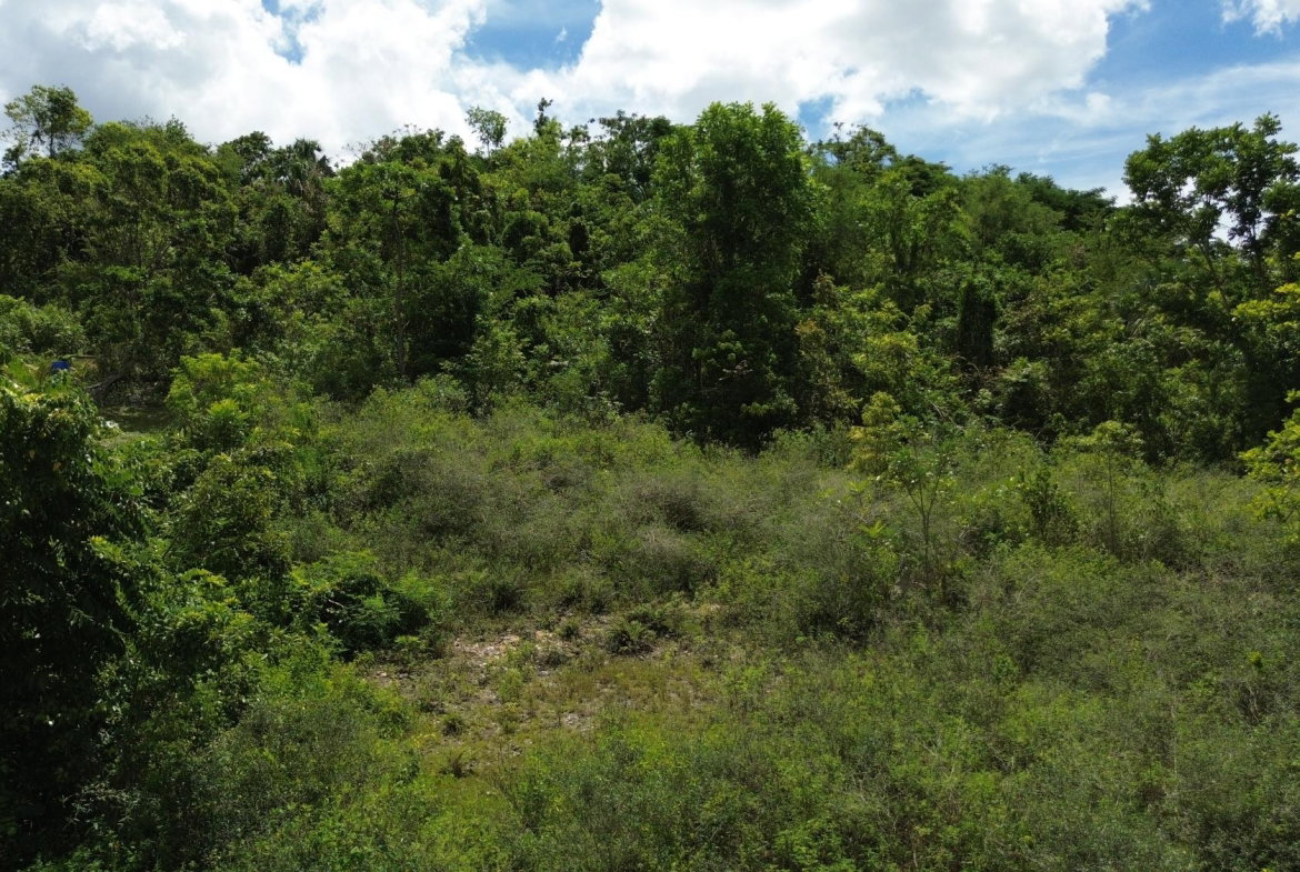 Seventh image of Leeds in Leeds, St. Elizabeth, Jamaica - property is For Sale