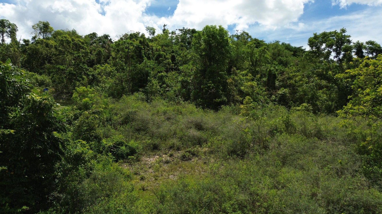 Prime-1.2-Acre-Residential-Development-Land-for-Sale-in-Leeds-St.-Elizabeth-Jamaica Seventh image of Leeds in Leeds, St. Elizabeth, Jamaica - property is For Sale
