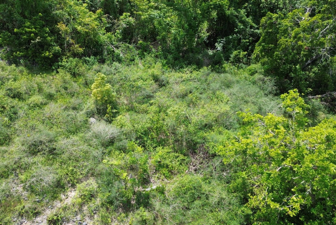 Eighth image of Leeds in Leeds, St. Elizabeth, Jamaica - property is For Sale