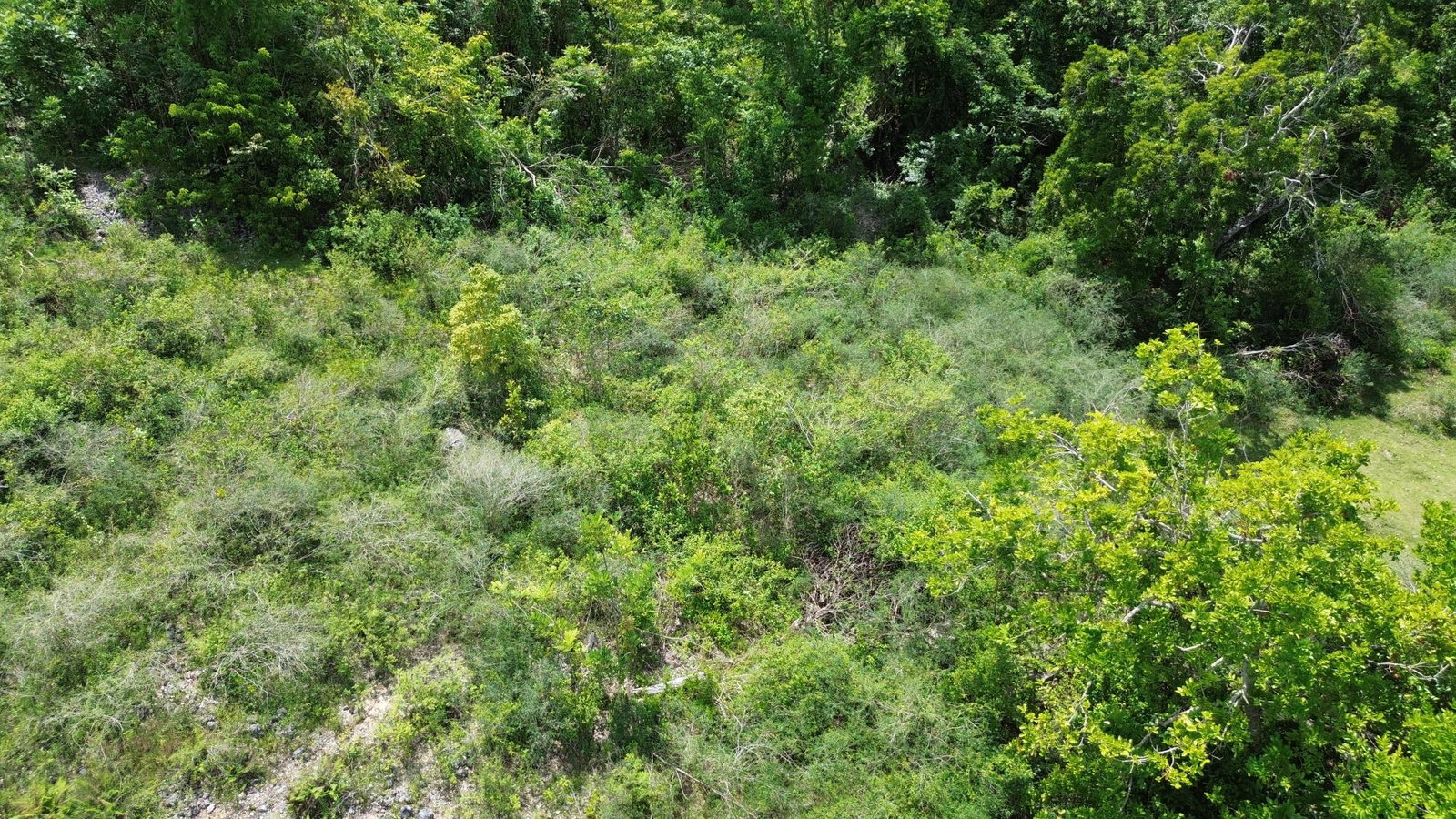 Prime-1.2-Acre-Residential-Development-Land-for-Sale-in-Leeds-St.-Elizabeth-Jamaica Eighth image of Leeds in Leeds, St. Elizabeth, Jamaica - property is For Sale