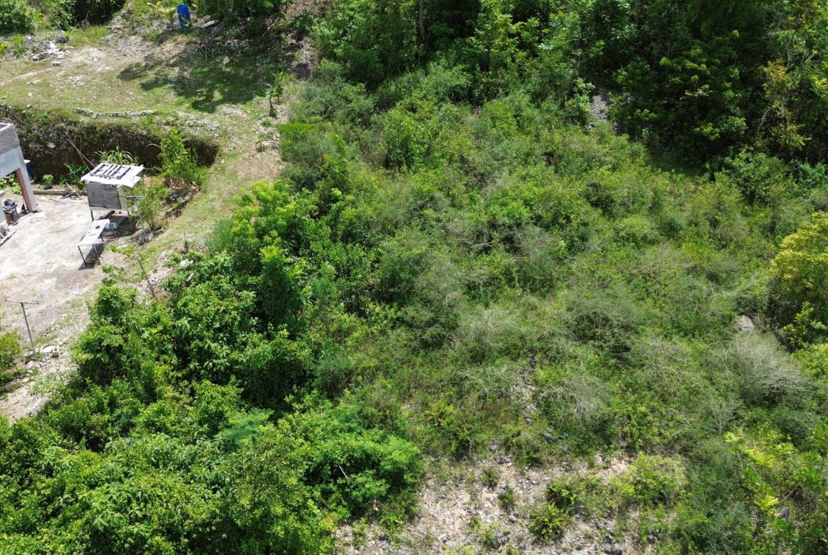 Ninth image of Leeds in Leeds, St. Elizabeth, Jamaica - property is For Sale