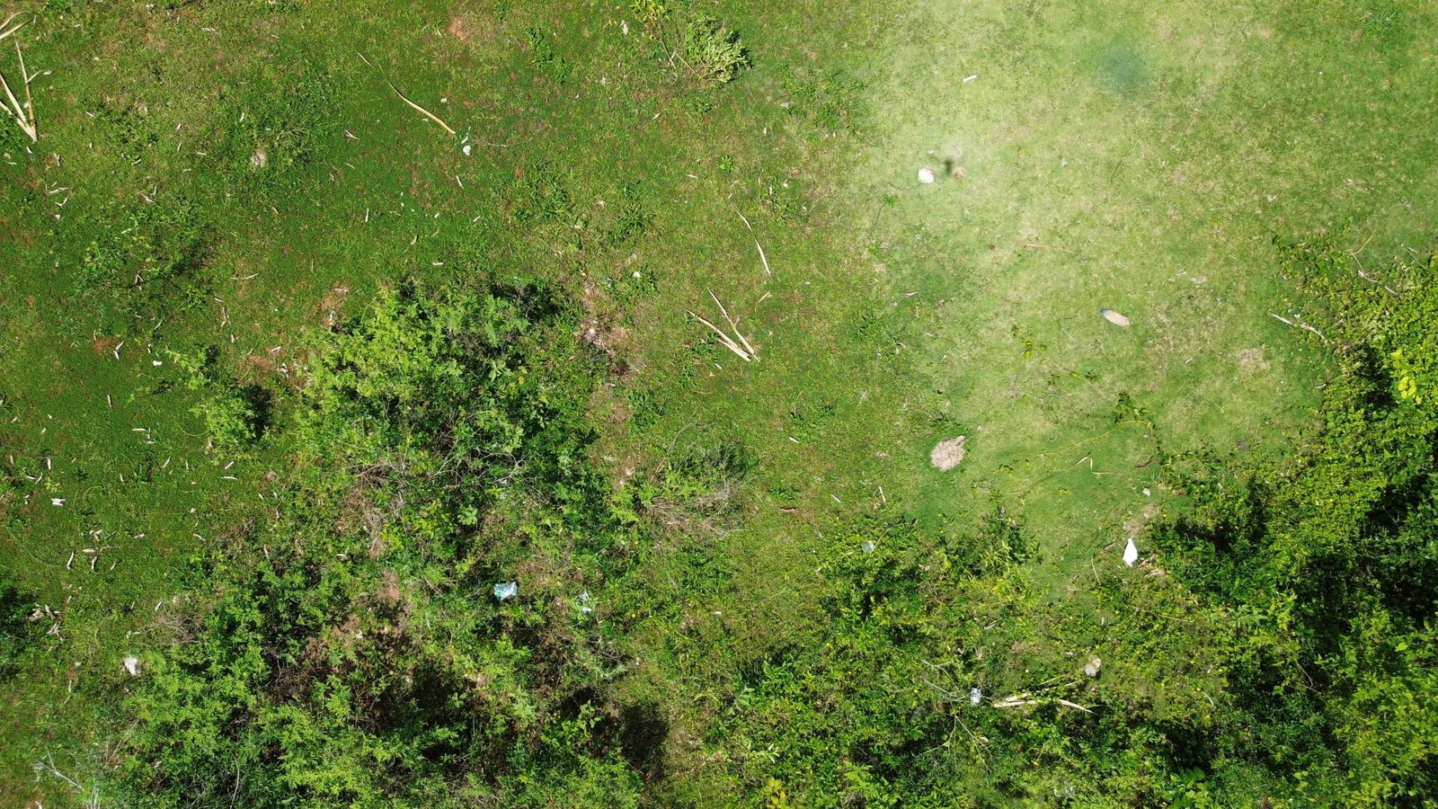 Prime-1.2-Acre-Residential-Development-Land-for-Sale-in-Leeds-St.-Elizabeth-Jamaica Tenth image of Leeds in Leeds, St. Elizabeth, Jamaica - property is For Sale
