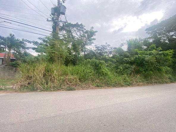 Ninth image of Cardiff Hall in Runaway Bay, St. Ann, Jamaica - property is For Sale