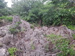 First image of Lot 2 Great Pond Ocho Rios in Ocho Rios, St. Ann, Jamaica - property is For Sale