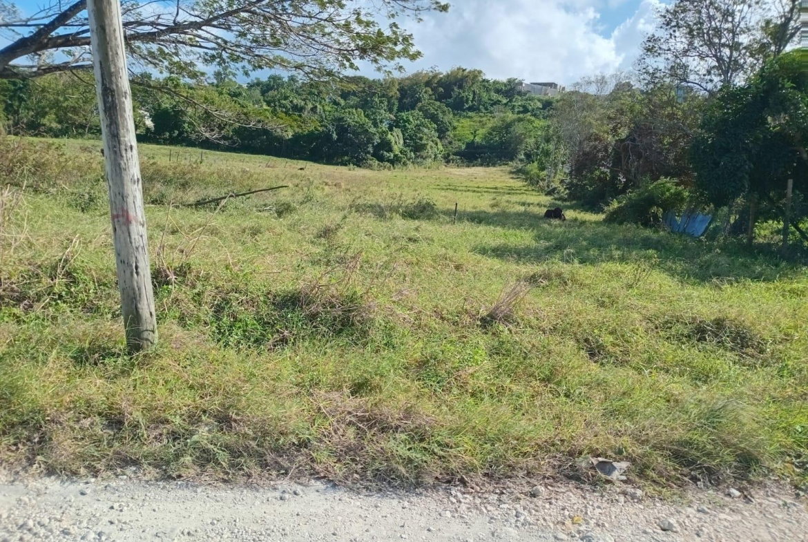 Second image of Lot 66 Haughton Court in Haughton Court, Hanover, Jamaica - property is For Sale