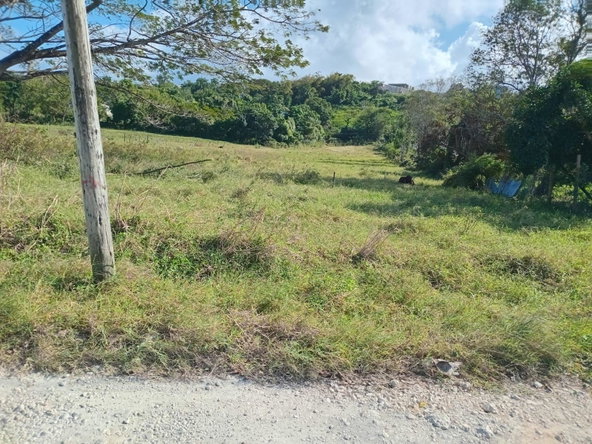Second image of Lot 66 Haughton Court in Haughton Court, Hanover, Jamaica - property is For Sale