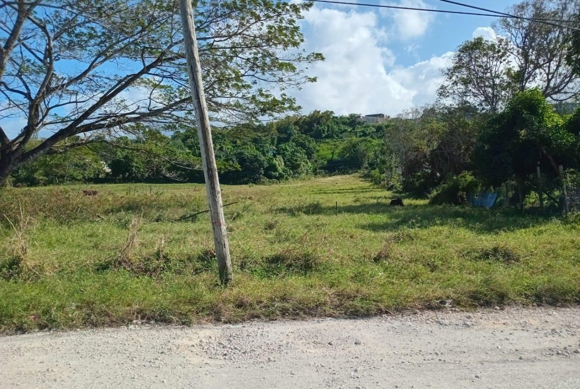 First image of Lot 66 Haughton Court in Haughton Court, Hanover, Jamaica - property is For Sale
