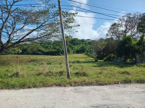 Third image of Lot 66 Haughton Court in Haughton Court, Hanover, Jamaica - property is For Sale