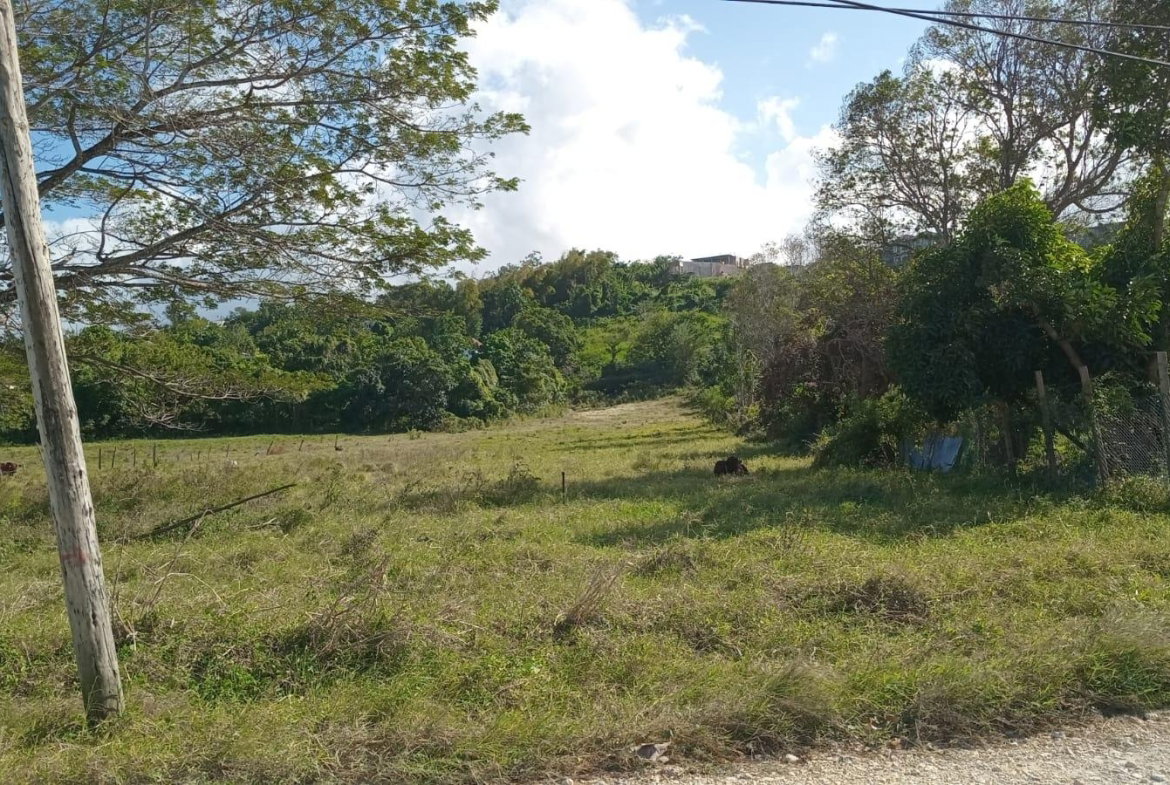 Fourth image of Lot 66 Haughton Court in Haughton Court, Hanover, Jamaica - property is For Sale