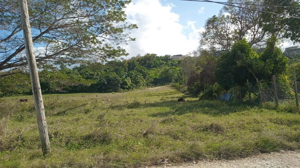 Fourth image of Lot 66 Haughton Court in Haughton Court, Hanover, Jamaica - property is For Sale