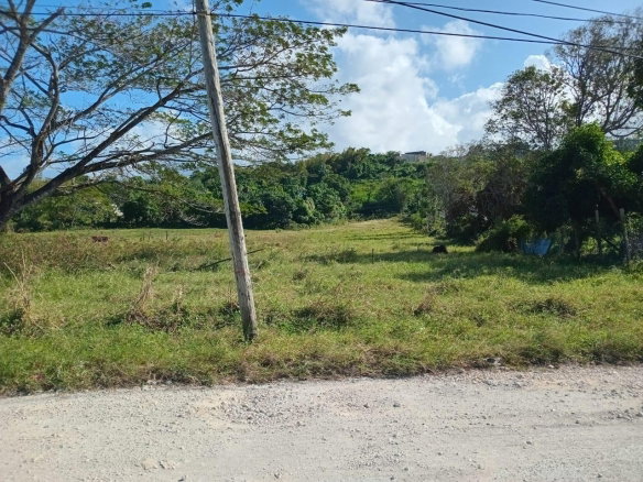 First image of Lot 66 Haughton Court in Haughton Court, Hanover, Jamaica - property is For Sale