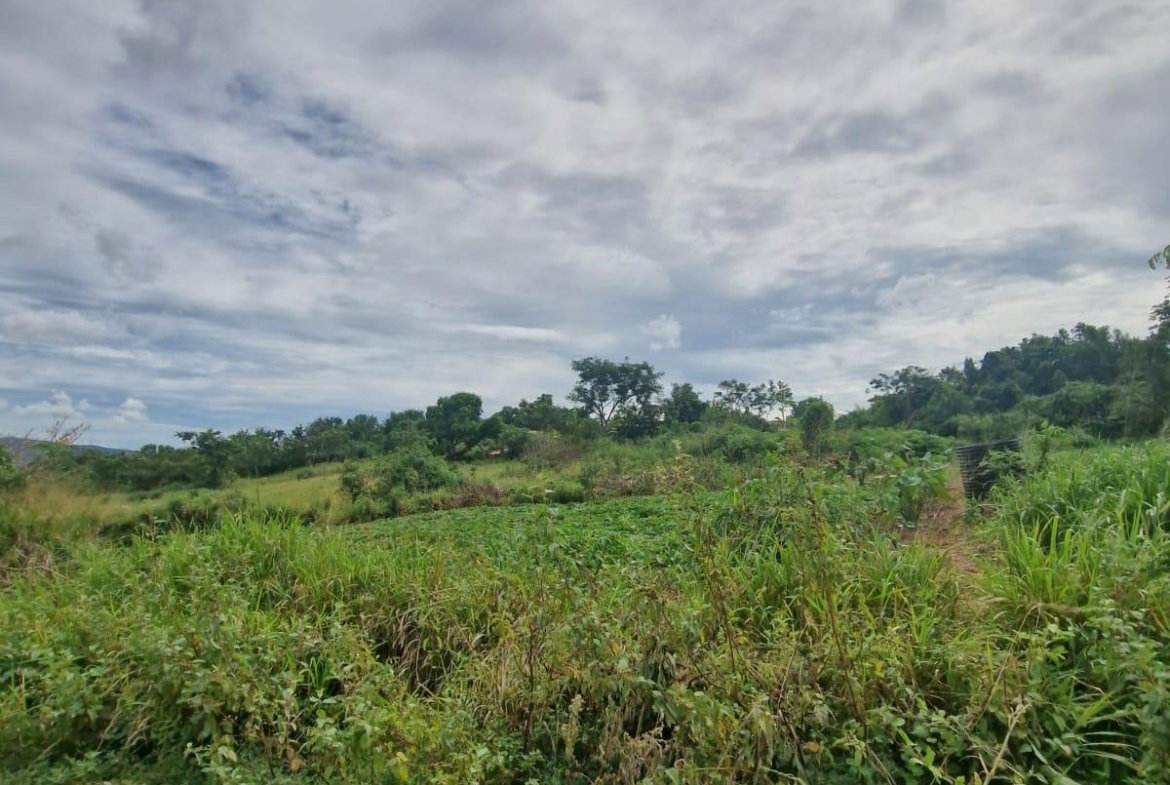 Eleventh image of Chocolate Hole in CHOCOLITE HOLE, St. Elizabeth, Jamaica - property is For Sale