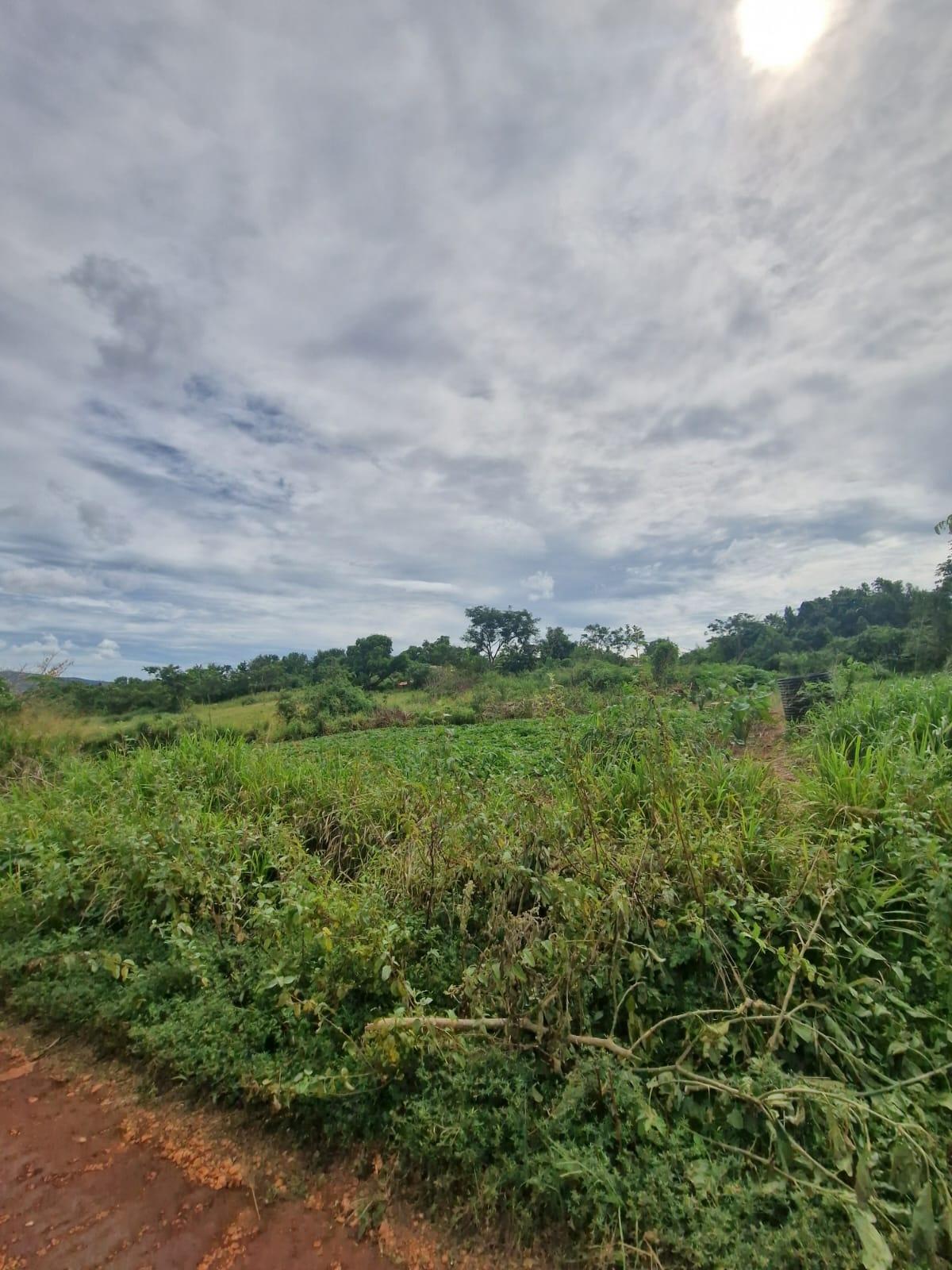 Eleventh image of Chocolate Hole in CHOCOLITE HOLE, St. Elizabeth, Jamaica - property is For Sale