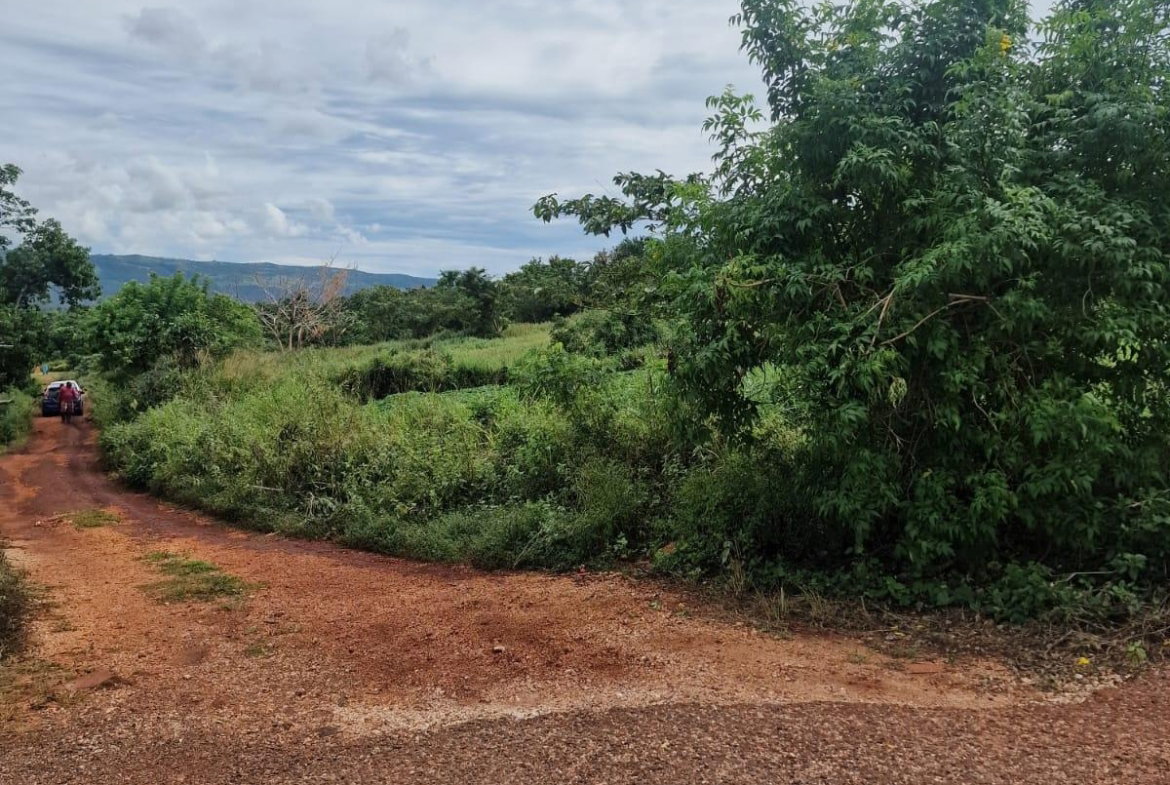 Twelfth image of Chocolate Hole in CHOCOLITE HOLE, St. Elizabeth, Jamaica - property is For Sale