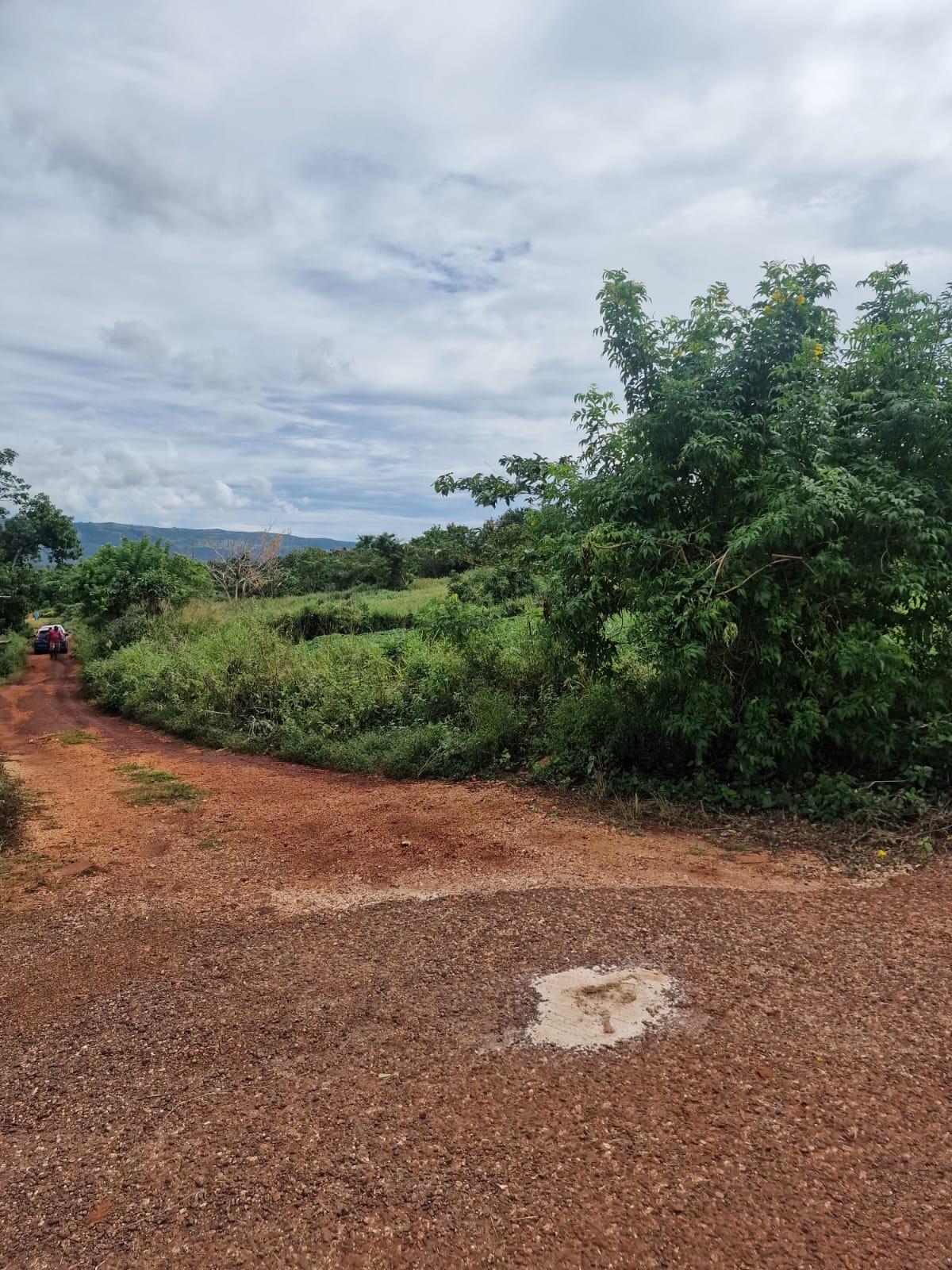 Twelfth image of Chocolate Hole in CHOCOLITE HOLE, St. Elizabeth, Jamaica - property is For Sale