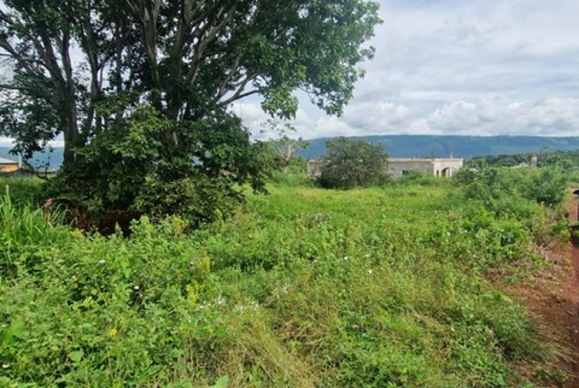 Sixth image of Chocolate Hole in CHOCOLITE HOLE, St. Elizabeth, Jamaica - property is For Sale