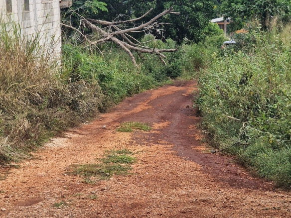 First image of Chocolate Hole in CHOCOLITE HOLE, St. Elizabeth, Jamaica - property is For Sale