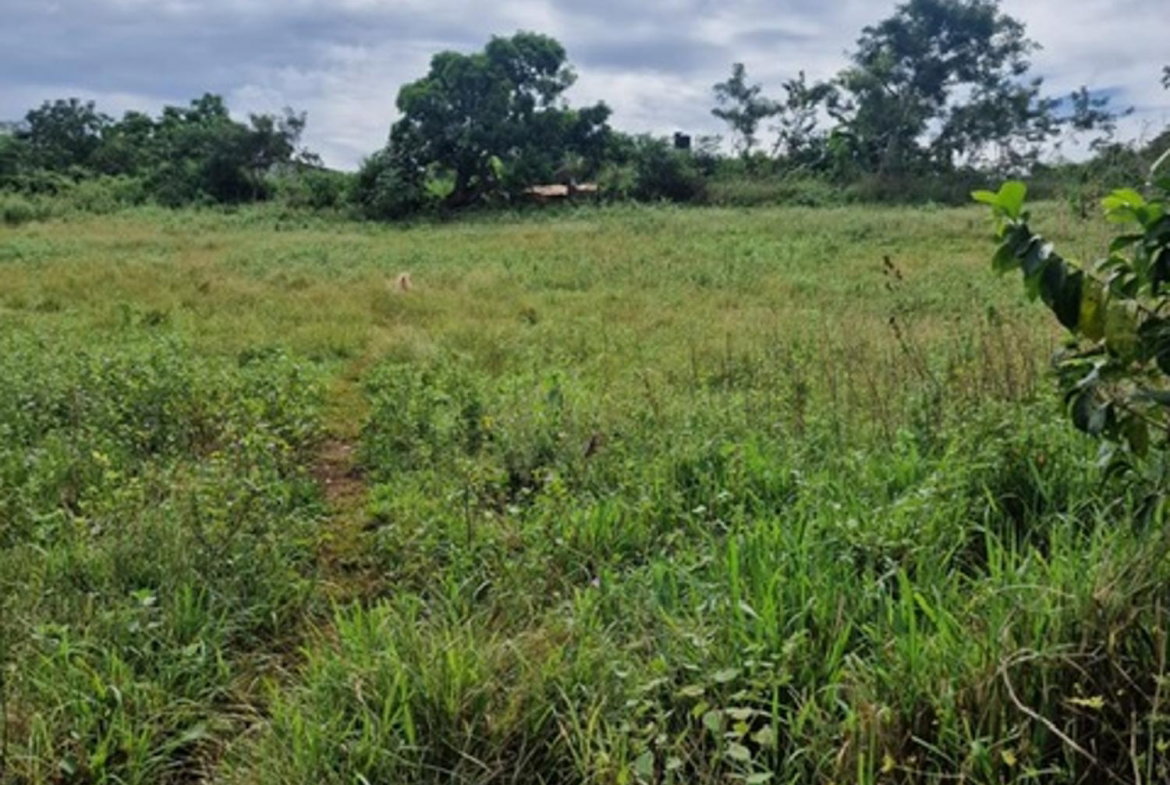 Seventh image of Chocolate Hole in CHOCOLITE HOLE, St. Elizabeth, Jamaica - property is For Sale