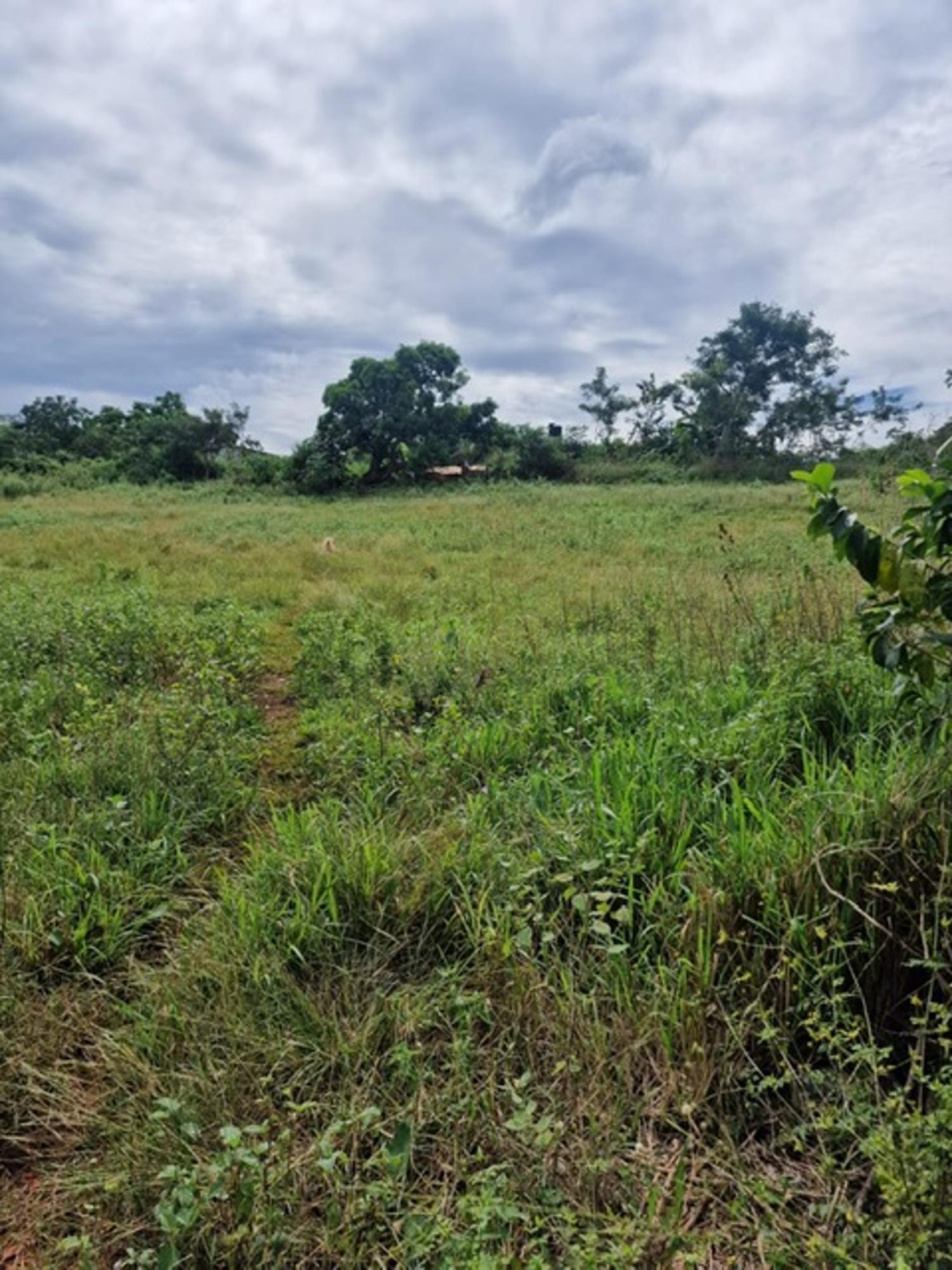 Seventh image of Chocolate Hole in CHOCOLITE HOLE, St. Elizabeth, Jamaica - property is For Sale