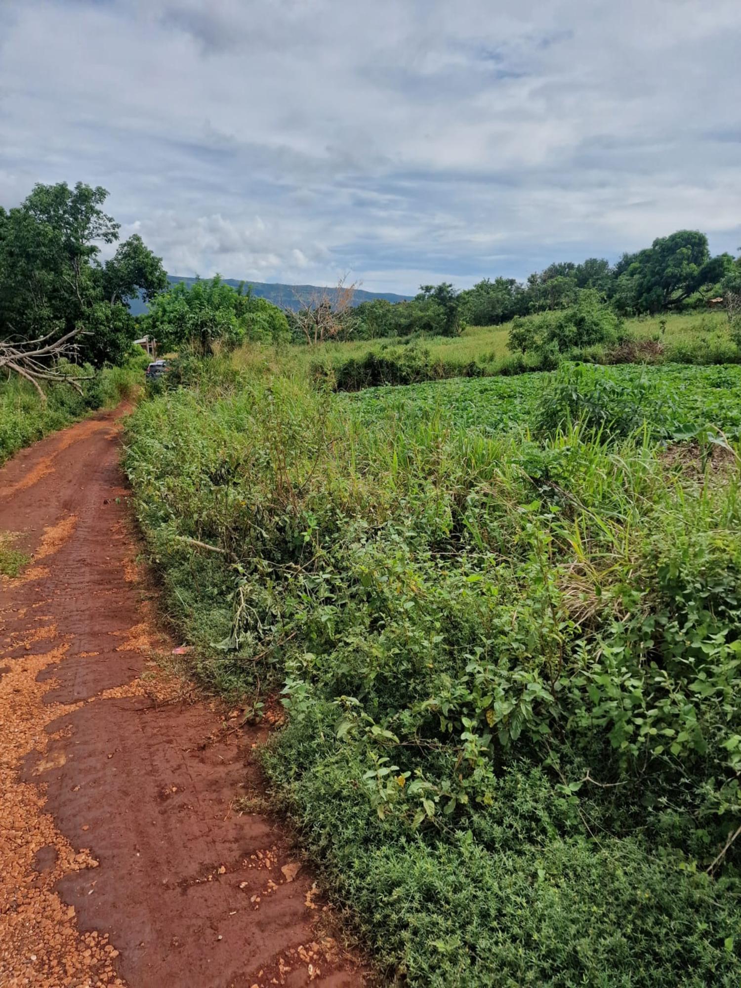 Eighth image of Chocolate Hole in CHOCOLITE HOLE, St. Elizabeth, Jamaica - property is For Sale