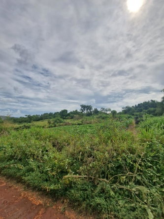 Ninth image of Chocolate Hole in CHOCOLITE HOLE, St. Elizabeth, Jamaica - property is For Sale