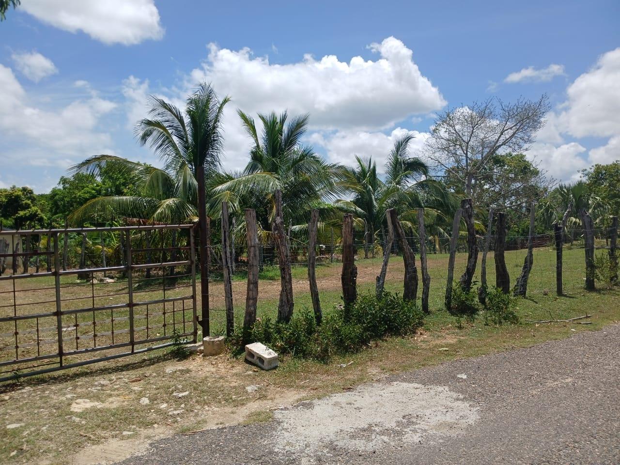 Second image of Cataboo, Punches District in Black River, St. Elizabeth, Jamaica - property is For Sale