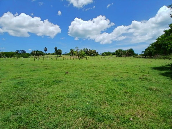 Eleventh image of Cataboo, Punches District in Black River, St. Elizabeth, Jamaica - property is For Sale