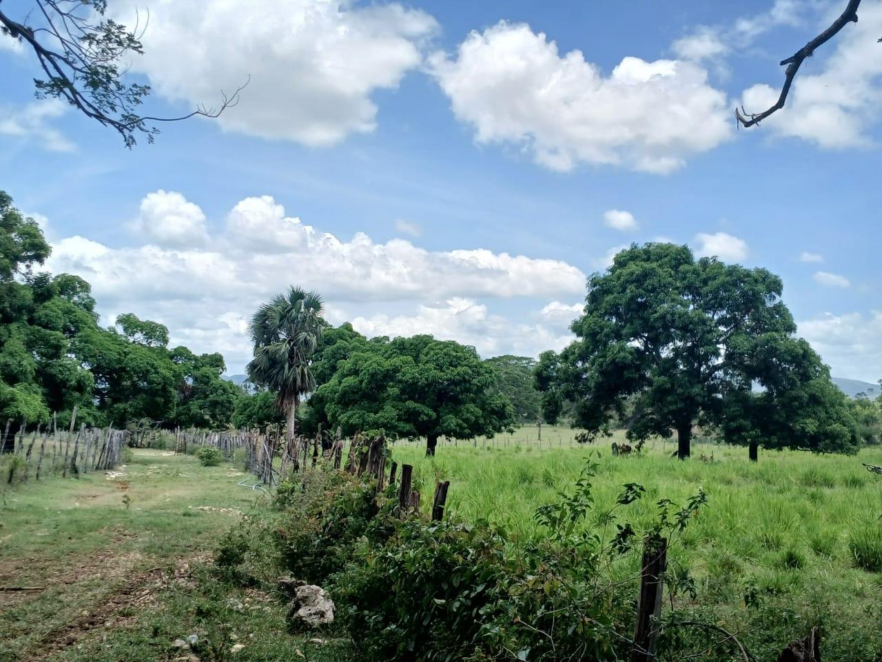 Twelfth image of Cataboo, Punches District in Black River, St. Elizabeth, Jamaica - property is For Sale